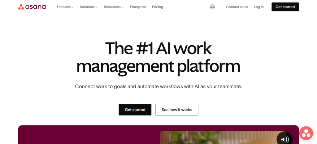 Asana home page